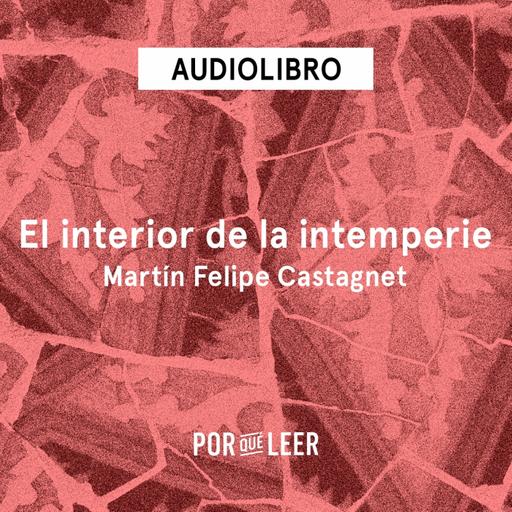 El interior de la intemperie - Martín Felipe Castagnet