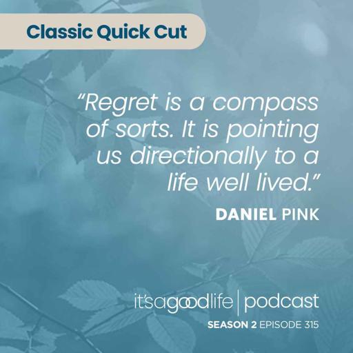 Quick Cut: S2E315 The Power of Regret - an Interview with Daniel Pink