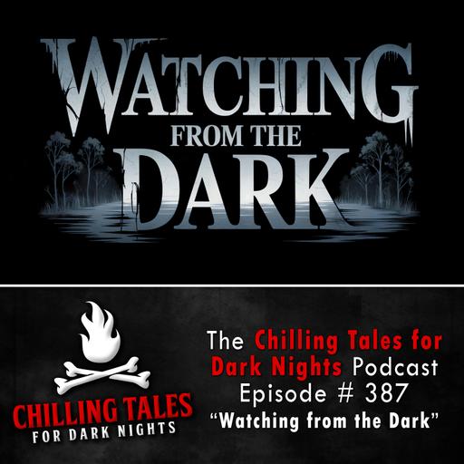 387: Watching from the Dark - Chilling Tales for Dark Nights
