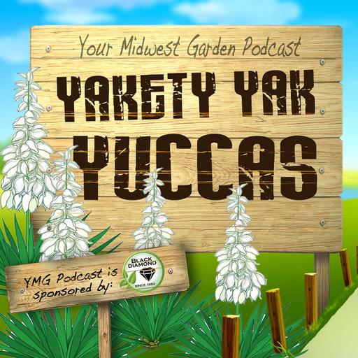 Yakety Yak Yuccas