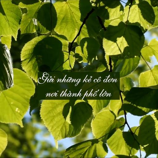 #89 Gửi những kẻ cô đơn nơi thành phố lớn