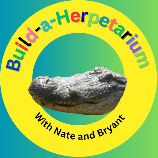 Building Our Dream Zoo | Reptile Ramblings #20
