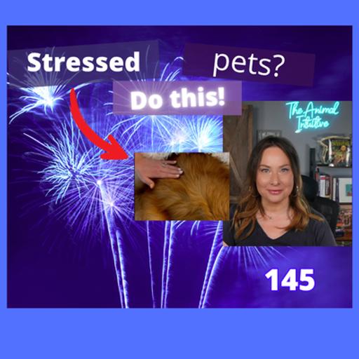 3 Calming Pet Acupressure Points + My Secret Animal Connection Tip | 146
