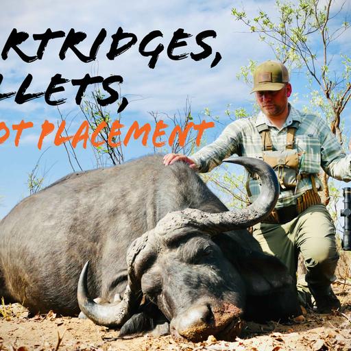Cartridges, Bullets, & Shot Placement for Cape Buffalo