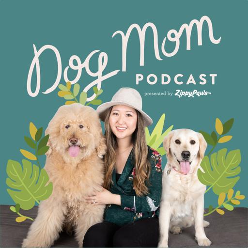Ep #27 - Animal Stewardship: Lessons from an Animal Shelter CEO (ft. Nikole Bresciani)