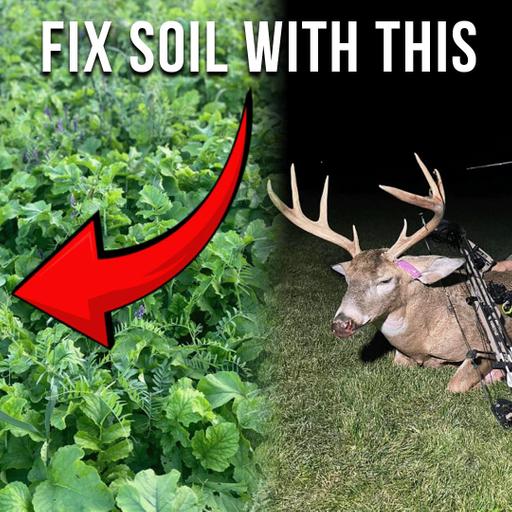 342: How To Effectively Use Cover Crops For Better Soil Health with Kevin Gross