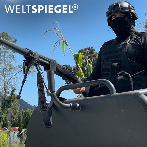 Das Ameisenprinzip: Wie Waffen aus den USA nach Mexiko kommen