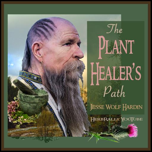 Glad Misfits & Herbalists | The Plant Healer's Path Ep. 14