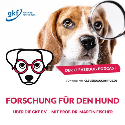 Forschung für den Hund – über die GKF e.V. mit Prof. Dr. Martin Fischer
