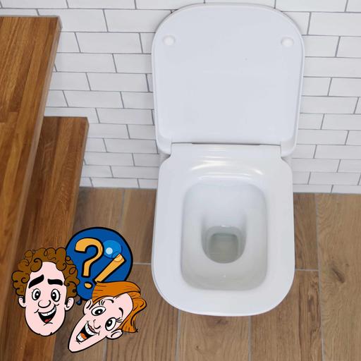Kann man in der Toilette baden?