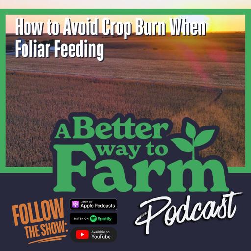 316: How to Avoid Crop Burn When Foliar Feeding