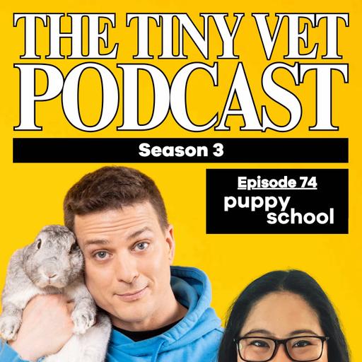 74: Puppy School