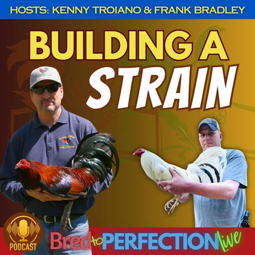 Episode 255: The Key Challenges When Breeding and Creating a Strain