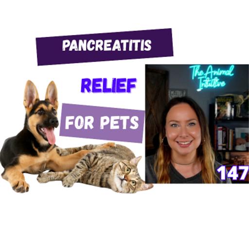 Pancreatitis/GI Pet Acupressure, Top Raw Pet Foods Misleading? + Animal Communication 🐾147