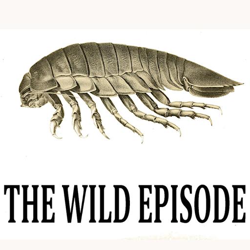 Supergiant Isopod : Big is Beautiful III