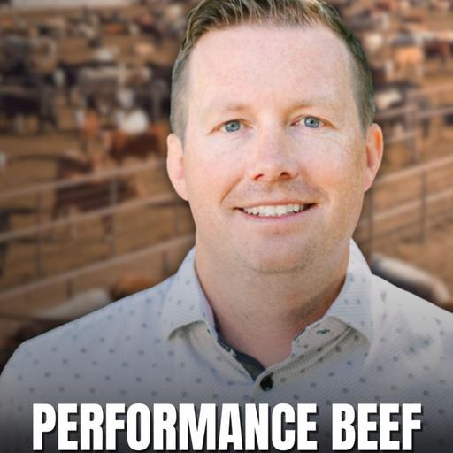 Performance Livestock: Cattle Management Through Performance Beef