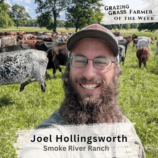 181. Scaling Regenerative Ranching with Ultra High Density Grazing with Joel Hollingsworth