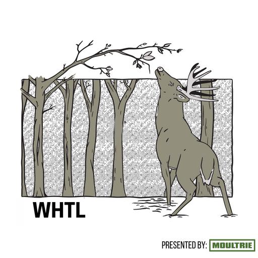 #364 - I Didn't Put Any Trail Cameras Out In July, Is It Too Late To Start Putting Them Out? We Asked 8 Whitetail Experts Their Thoughts!