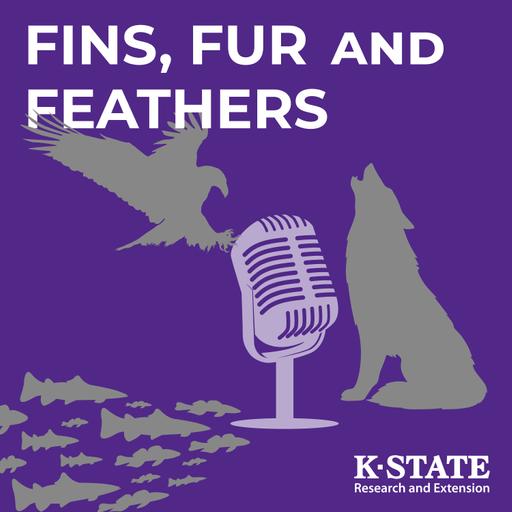 Benefits of Flooding for Wildlife | Fins, Fur, & Feathers #454