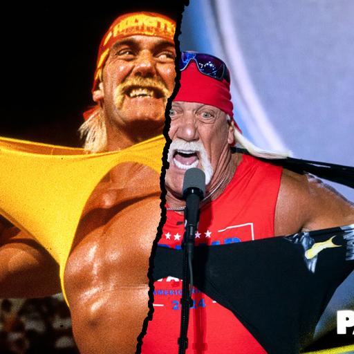 Hulk Hogan / Terry Bollea