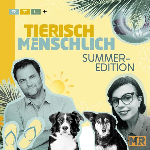 #1 Summer Edition: Garnelenfieber