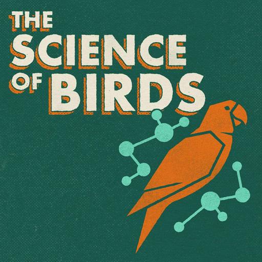 Ask Me Anything About Birds - Summer 2025