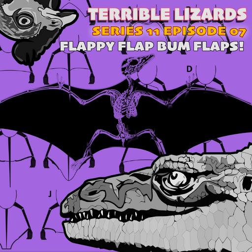 TLS11E07 Flappy Flap Bum Flaps