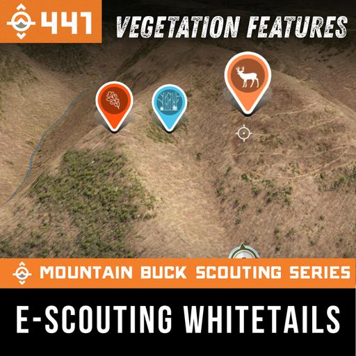 Ep. 441: 8 Vegetation Features You MUST Know for E-Scouting Whitetails | Mountain Buck Scouting Series
