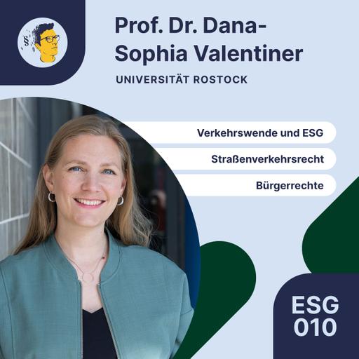 IMR317: Verkehrswende und ESG, Straßenverkehr, Bürgerrechte, Zukunft des Verwaltungsrechts