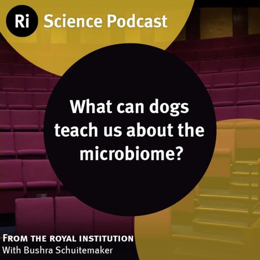 What can dogs teach us about the microbiome? - with Bushra Schuitemaker