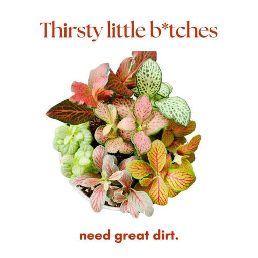 Episode 284 - Tips for soil ordering :)