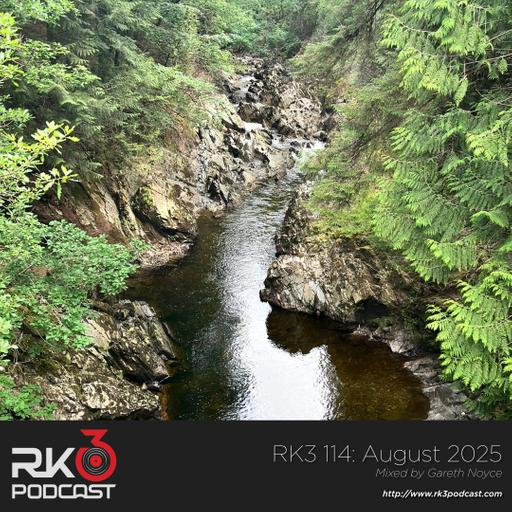 RK3 114: August 2025