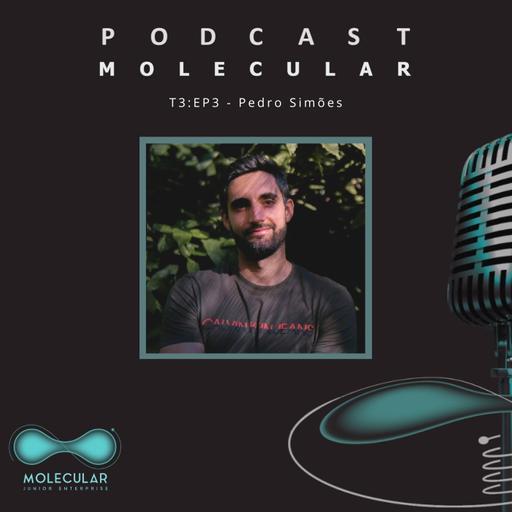 T3:EP3 - Pedro Simões
