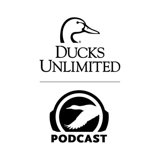 Ep. 694 - Land Management for Waterfowl: Challenges, Rewards & Habitat Insights