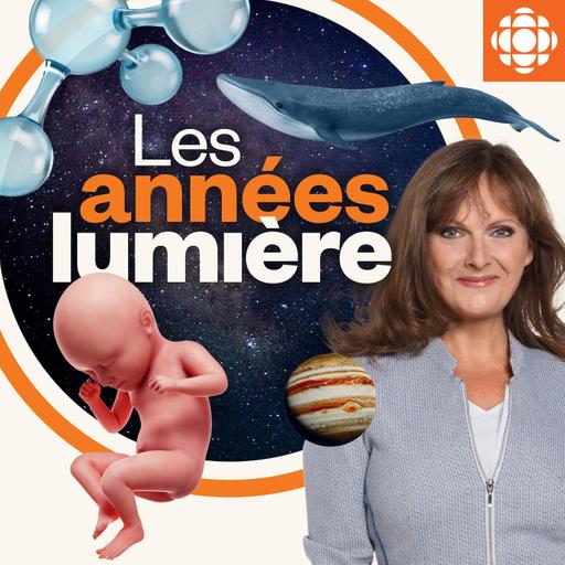 Ces arbres qui agissent comme paratonnerre, et une immersion chez les bonobos