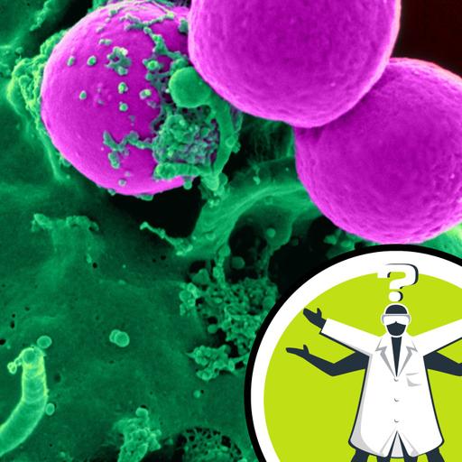 How are our cells different at the genetic level?