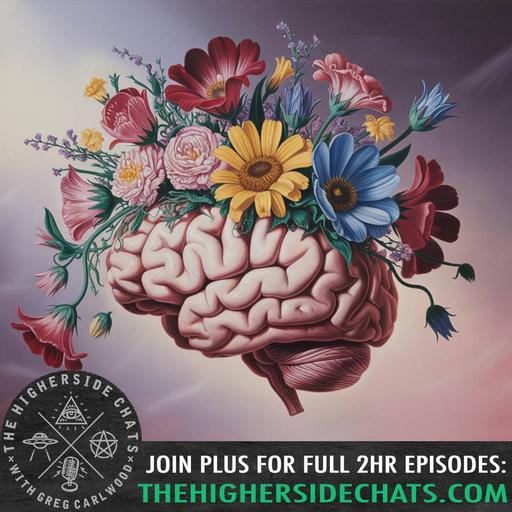 Dr. Kelly Brogan | Full Spectrum Health, Conspiracy Parenting, & Your Metaphysical Narrative