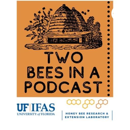 Episode 207: Wild Honey Bee Research With Jamie Ellis