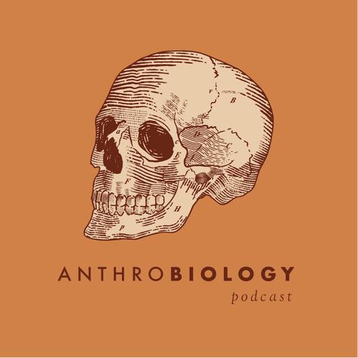 Dr. Habiba Chirchir - Why did humans evolve to have less robust skeletons?