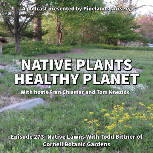 Native Lawns with Todd Bittner of Cornell Botanic Gardens
