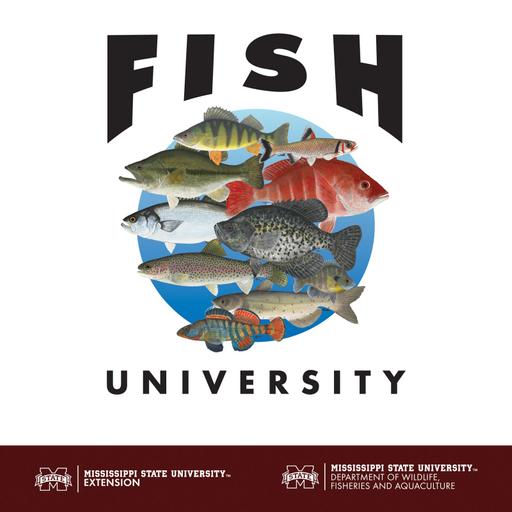 Slippery Slope to Slime | Fish University #455