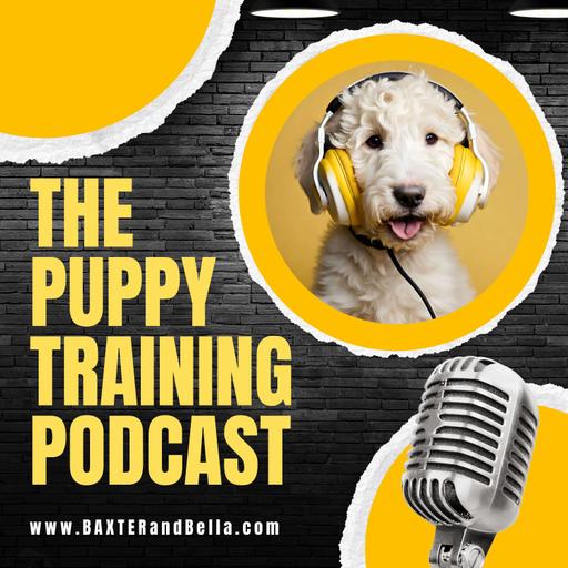 Episode #238 Training Your Own Dog as a Retired Veteran