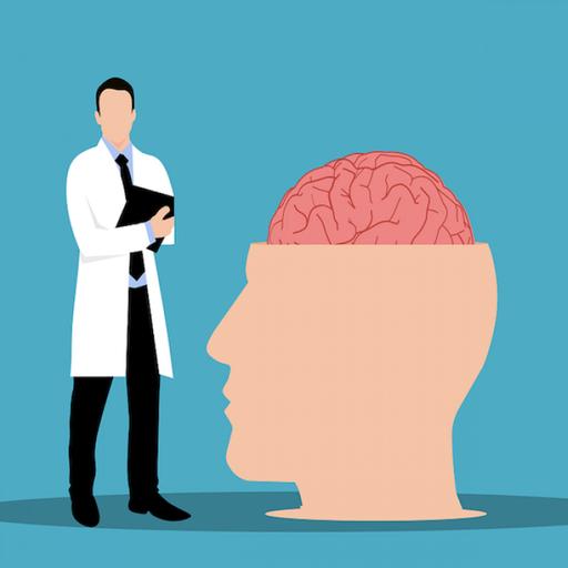 The Neuroscience of Good and Bad Habits