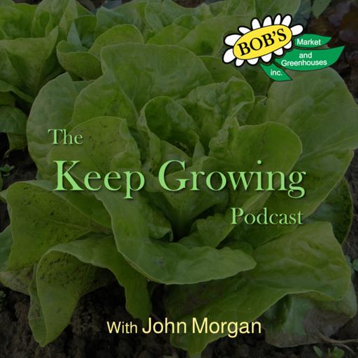 August 2, 2025 Weekly Gardening Guide
