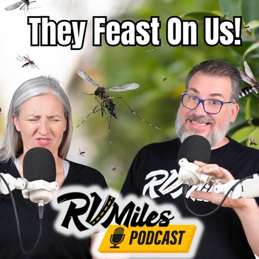 Mini Podcast 372: We Tried 10+ Ways to Stop Mosquitoes! Did They Work?