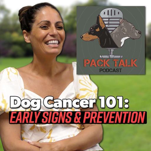 #137 Dog Cancer 101: Early Signs, Treatment, and Prevention | Expert Advise from Veterinary Oncologist