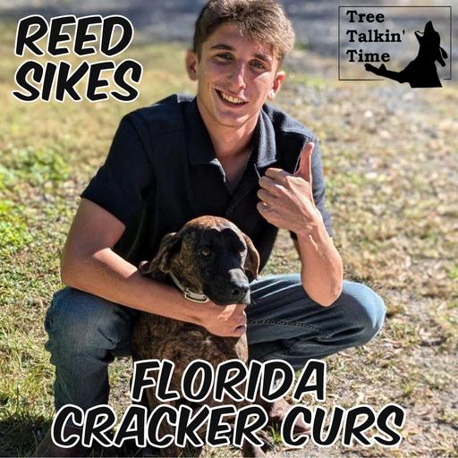190. Florida Cracker Curs
