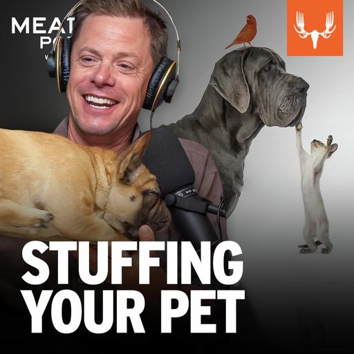 Ep. 743: Stuffing Your Pet