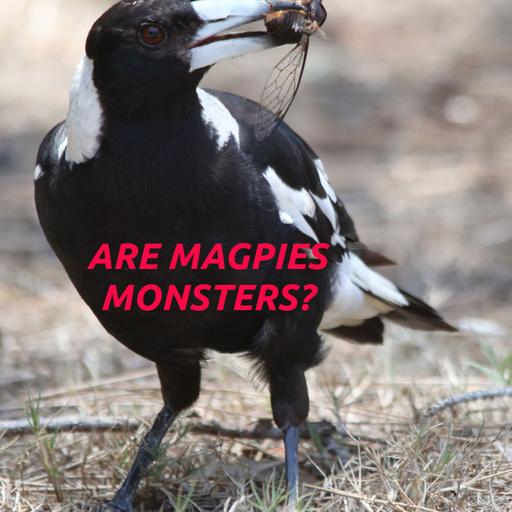 S04E39 - Are Magpies Monsters?
