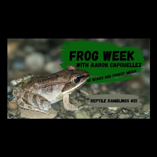 Frog Conservation with Aaron Capouellez | Reptile Ramblings #21
